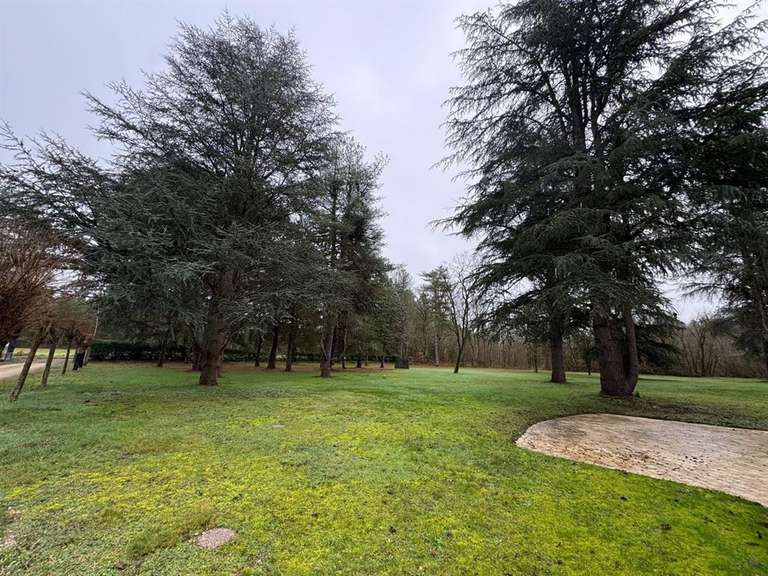 House Dhuizon - 5 bedrooms - 338m²