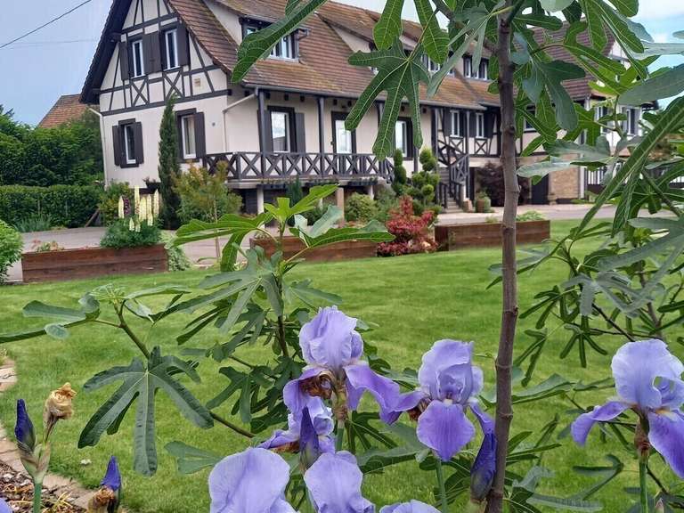 Villa Diebolsheim - 330m²