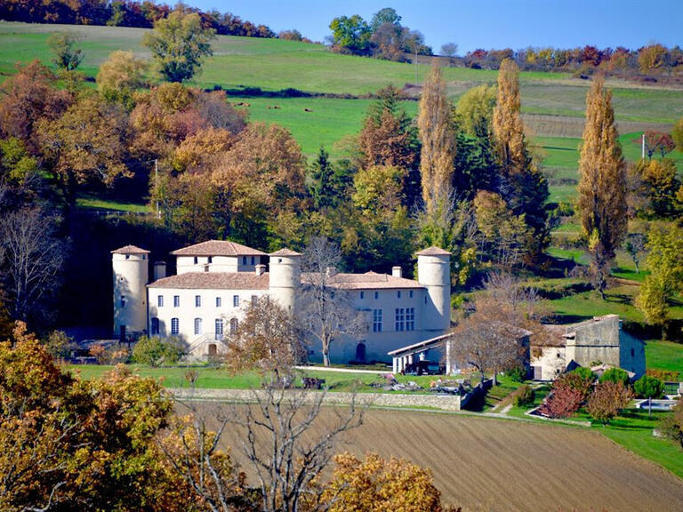 Vente Château Dieulefit