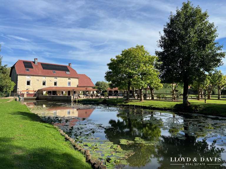 Maison Dijon - 411m²