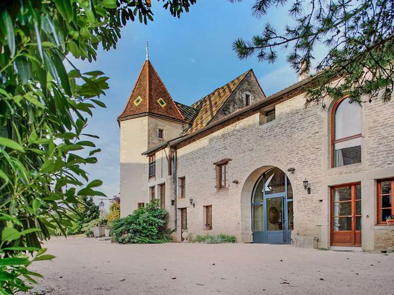 Manoir Dijon - 9 chambres - 650m²