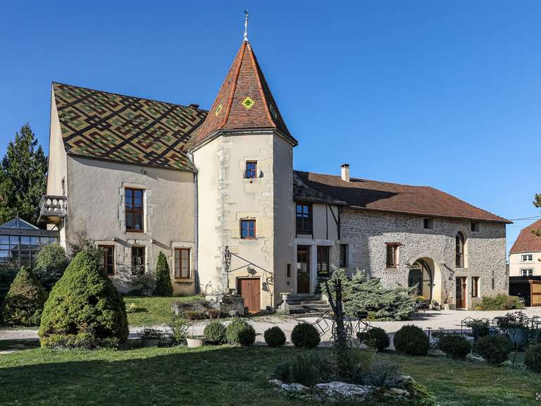 Manor Dijon - 9 bedrooms - 650m²
