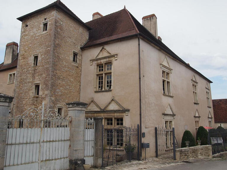 Sale Property Dijon - 6 bedrooms