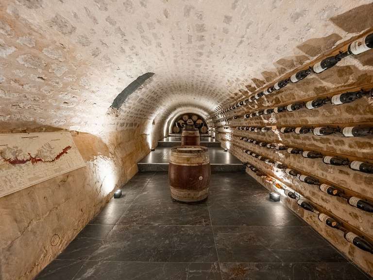 Propriété Dijon - 5 chambres - 481m²