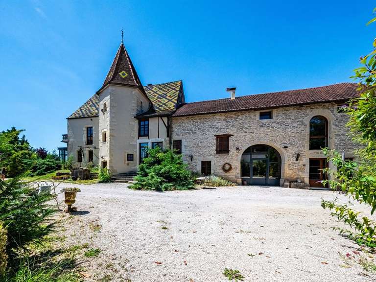 Propriété Dijon - 9 chambres - 650m²