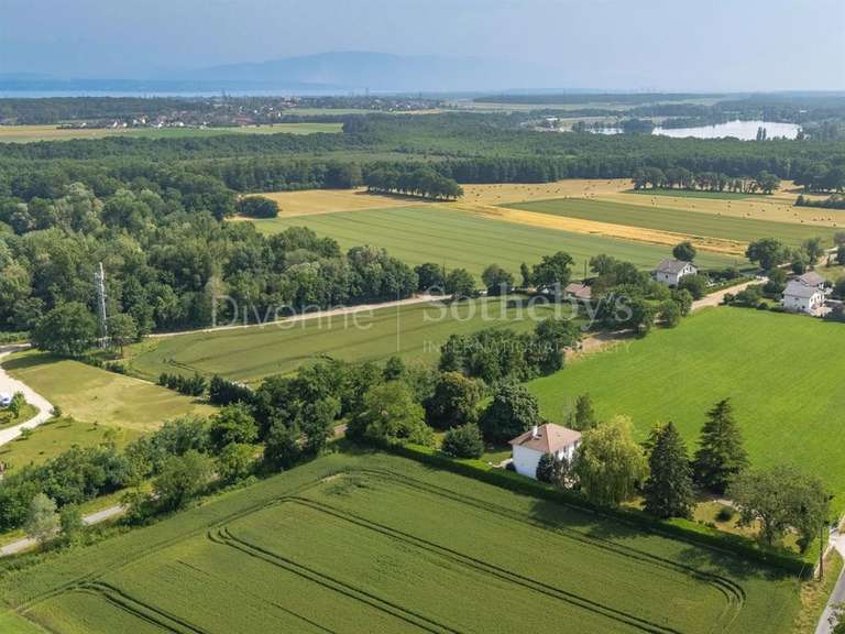 Maison Divonne-les-Bains - 5 chambres - 350m²