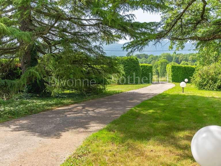 Maison Divonne-les-Bains - 5 chambres - 350m²