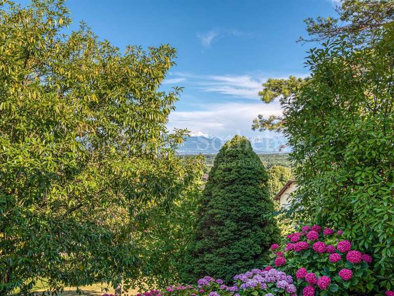 Maison Divonne-les-Bains - 5 chambres - 320m²