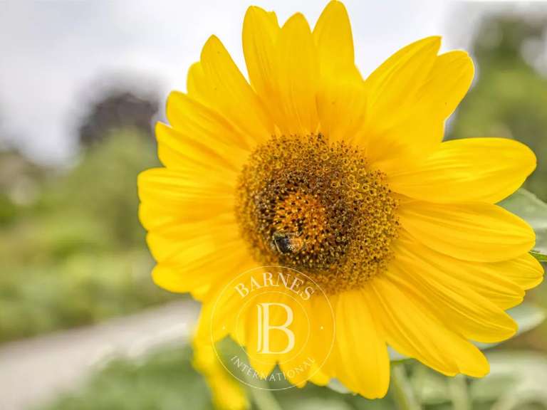 Villa Divonne-les-Bains - 5 chambres - 352m²