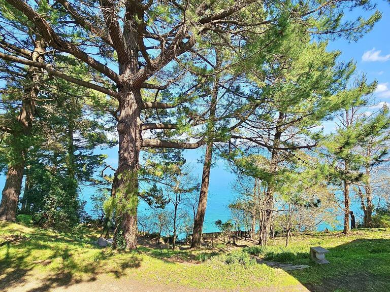 Apartment Douarnenez - 2 bedrooms