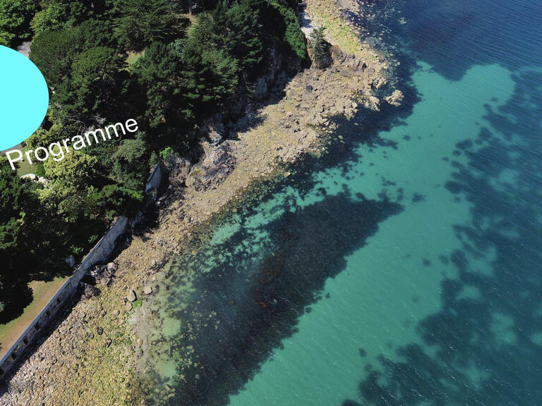 Apartment Douarnenez - 2 bedrooms