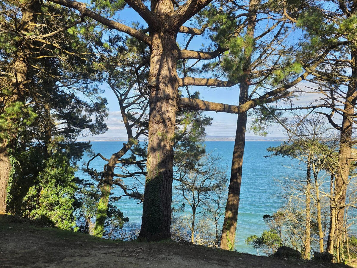 Apartment Douarnenez