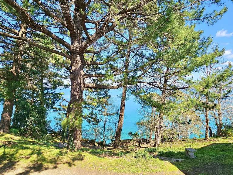Appartement Douarnenez - 2 chambres
