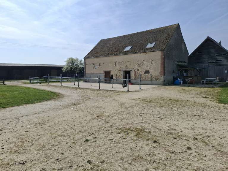 Maison Douchy-Montcorbon - 250m²