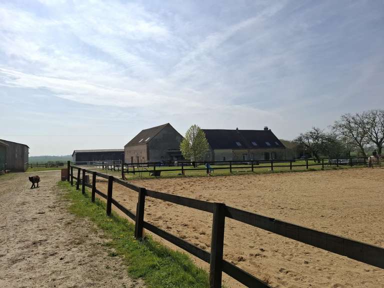 Maison Douchy-Montcorbon - 250m²