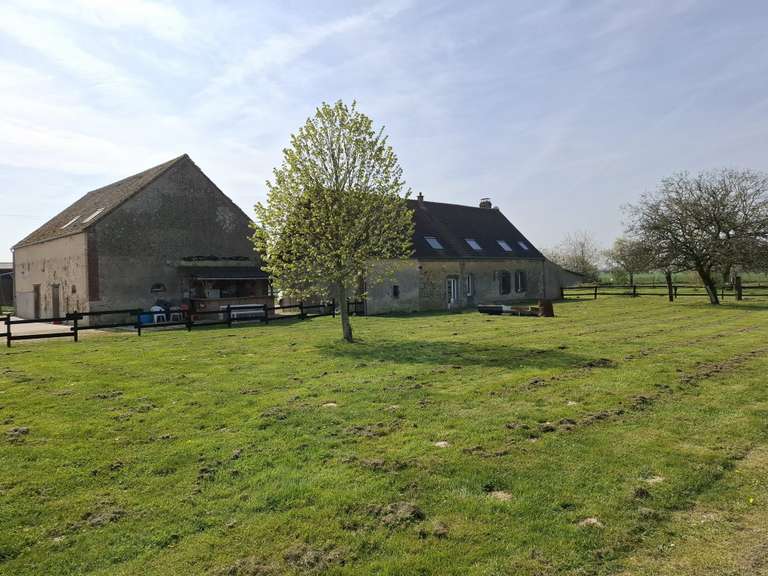 Maison Douchy-Montcorbon - 250m²