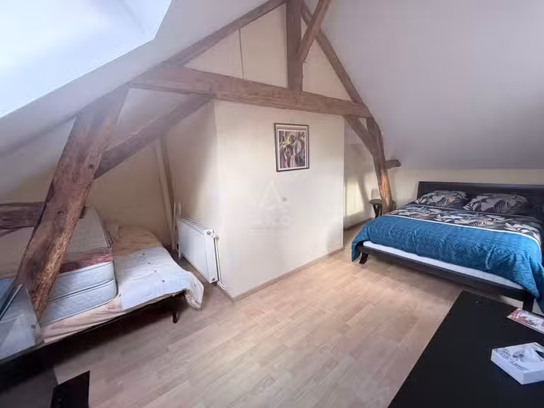 House Doué-en-Anjou - 4 bedrooms