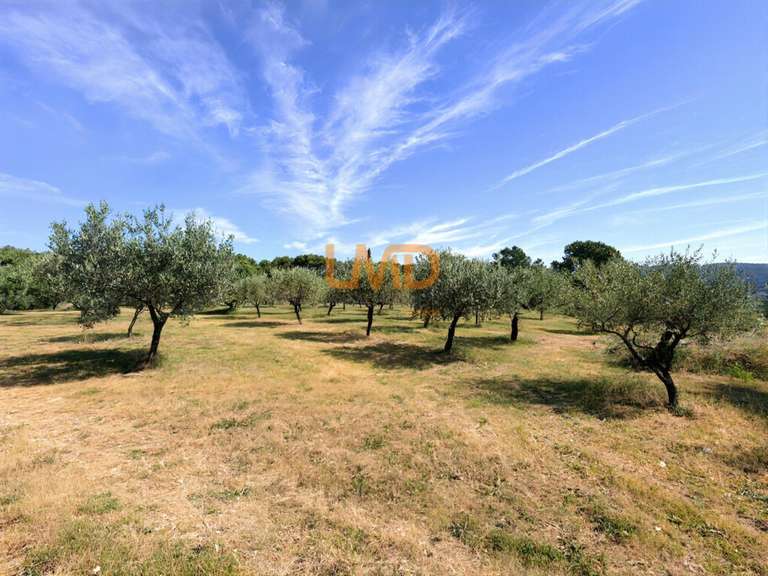 House Draguignan - 3 bedrooms - 104m²