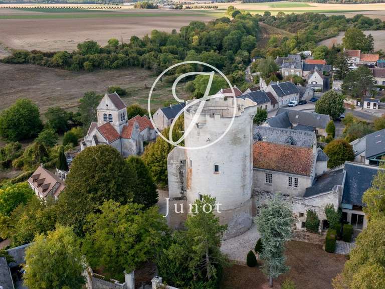 Château Droizy - 5 chambres - 1200m²
