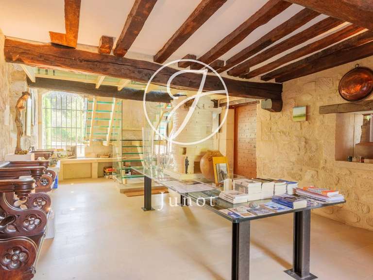 Château Droizy - 5 chambres - 1200m²