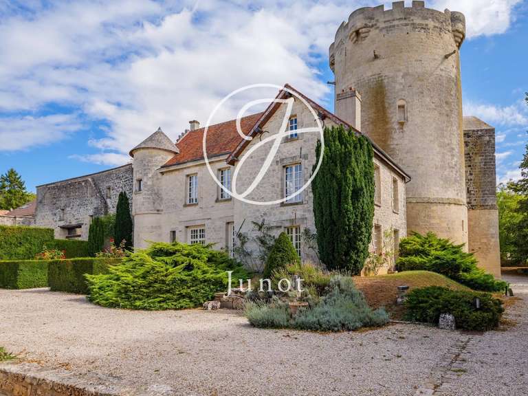 Château Droizy - 5 chambres - 1200m²