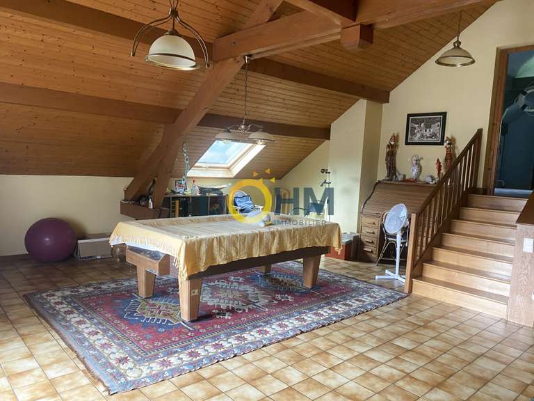 Maison Drumettaz-Clarafond - 4 chambres - 196m²