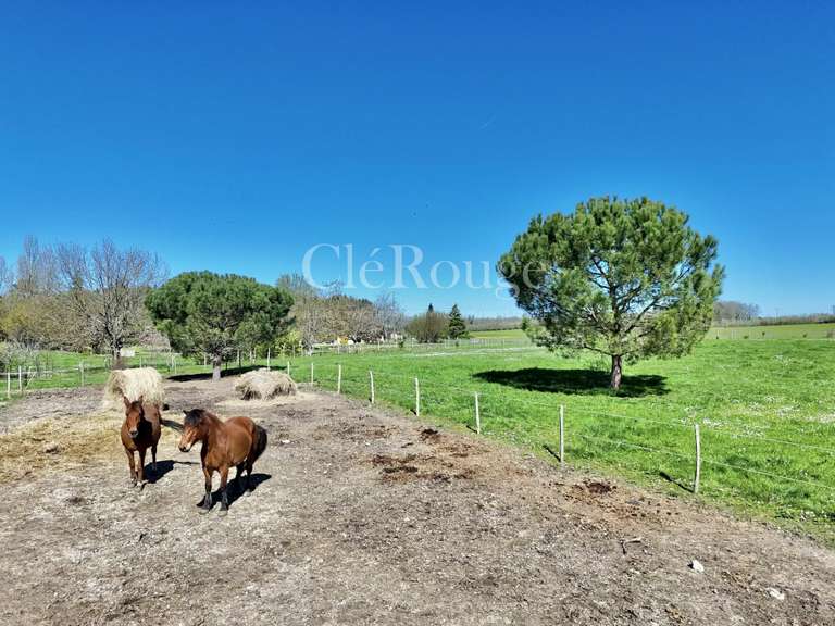 Maison Duras - 181m²