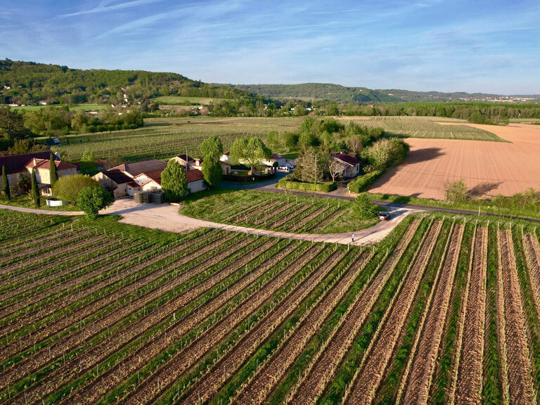 Sale Vineyard Duravel - 6 bedrooms