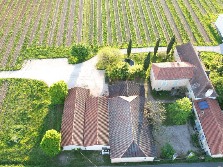 Sale Vineyard Duravel - 6 bedrooms