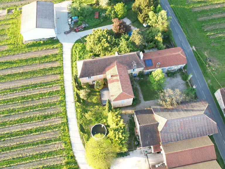 Sale Vineyard Duravel - 6 bedrooms