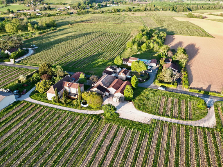 Sale Vineyard Duravel - 6 bedrooms