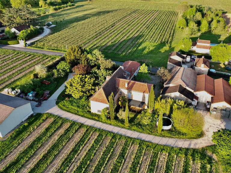 Sale Vineyard Duravel - 6 bedrooms