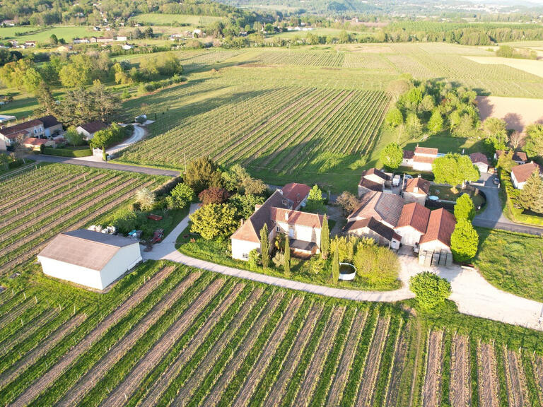 Sale Vineyard Duravel - 6 bedrooms