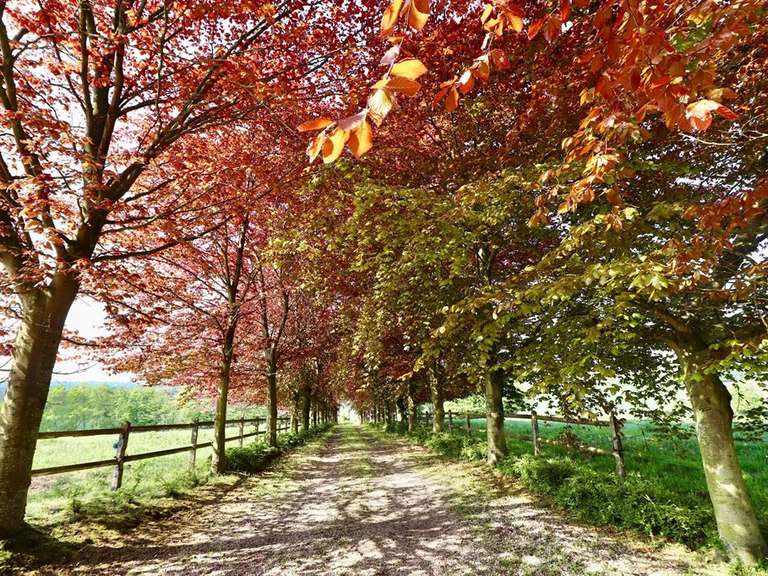 Manoir Écaquelon - 6 chambres - 41007m²