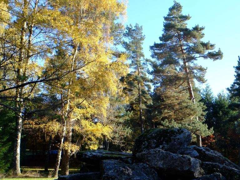 Propriété Égletons - 31 chambres - 3700m²