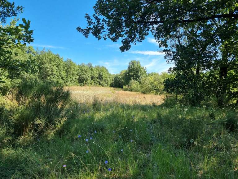 Maison Embrun - 2 chambres - 85m²