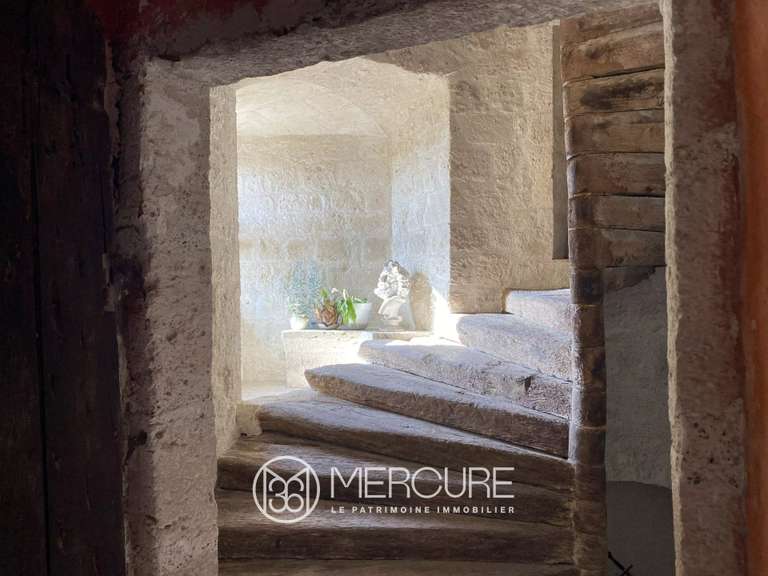 Château Engayrac - 4 chambres - 1000m²