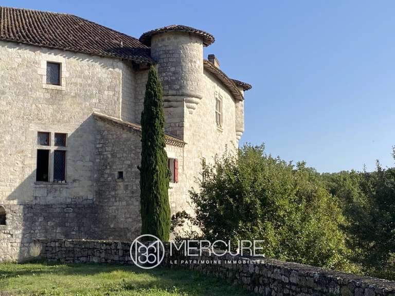 Château Engayrac - 4 chambres - 1000m²