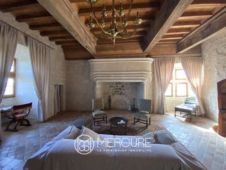 Château Engayrac - 4 chambres - 1000m²