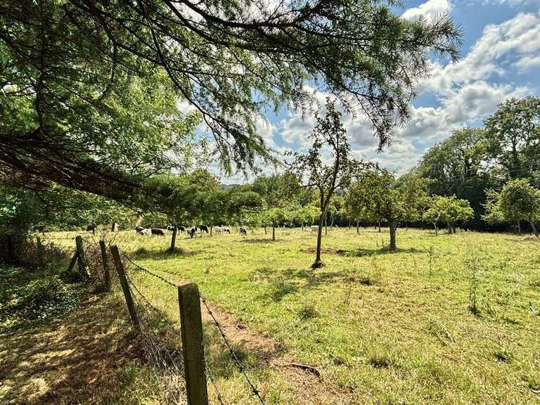 Maison Englesqueville-en-Auge - 7 chambres - 398m²