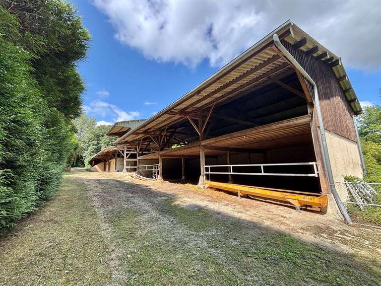 Maison Englesqueville-en-Auge - 7 chambres - 398m²