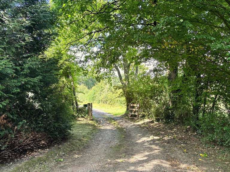 Maison Englesqueville-en-Auge - 7 chambres - 398m²