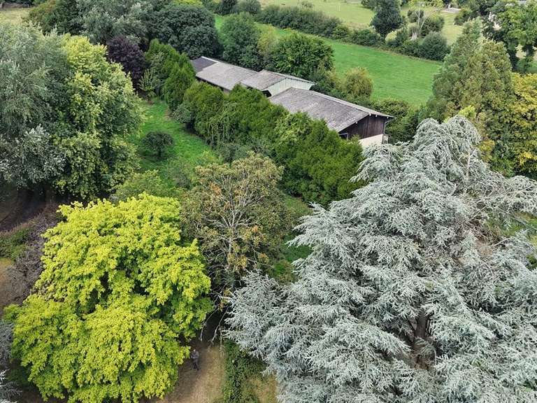 Maison Englesqueville-en-Auge - 7 chambres - 398m²