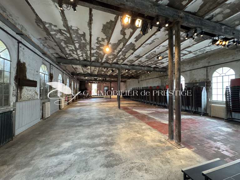 Maison Entraigues-sur-la-Sorgue - 7 chambres - 1166m²