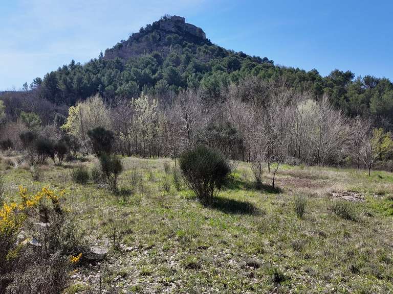 Maison Entrechaux - 530m²