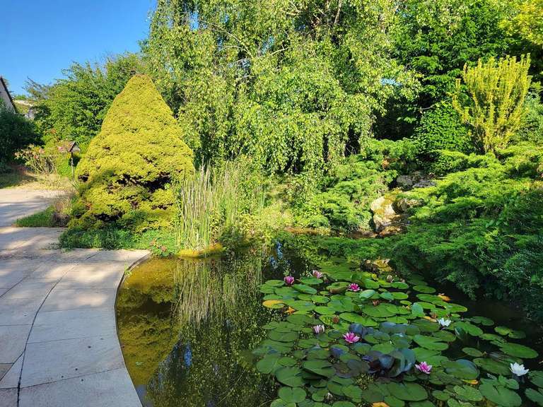 Maison Épernay - 5 chambres