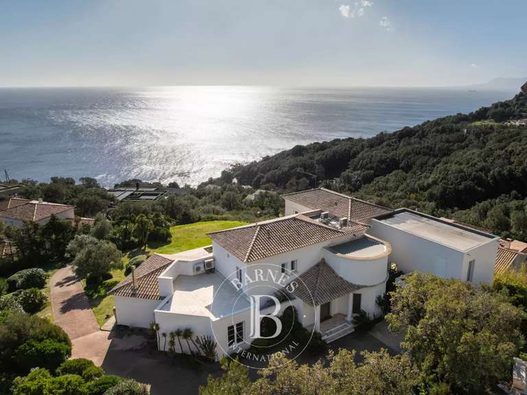 Villa avec Vue sur mer Erbalunga - 4 chambres - 403m²