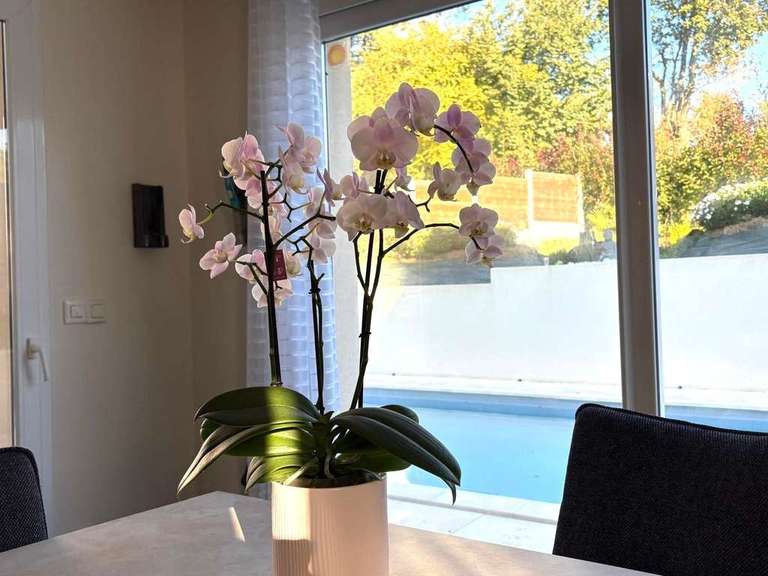 Maison Ergué-Gabéric - 4 chambres