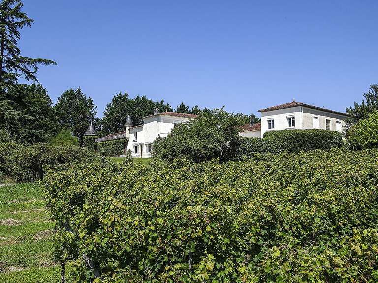 Terrain Escoussans - 210000m²