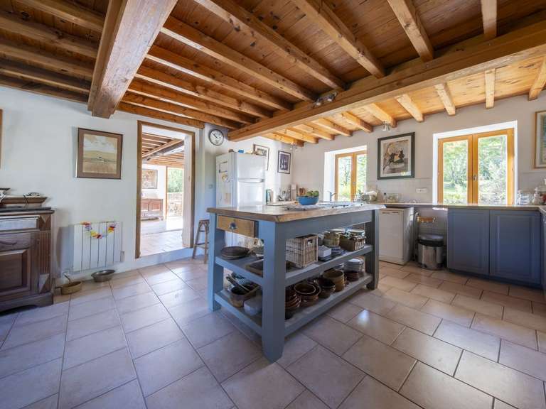 Propriété Escueillens-et-Saint-Just-de-Bélengard - 4 chambres - 306m²
